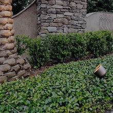 Load image into Gallery viewer, LED Flood Light 110 PAR 36 Solid Brass Metal Wall Light Landscape Light Security Lighting for Beautiful Bright Long Lasting Home Garden Patio Deck Driveway Area Lighting